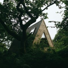 CABILLA PHOTOS CABILLA PHOTOS