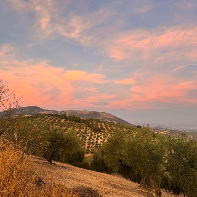 PHOTO-2025-12-09-23-28-07_1 PHOTO-2025-12-09-23-28-07_1