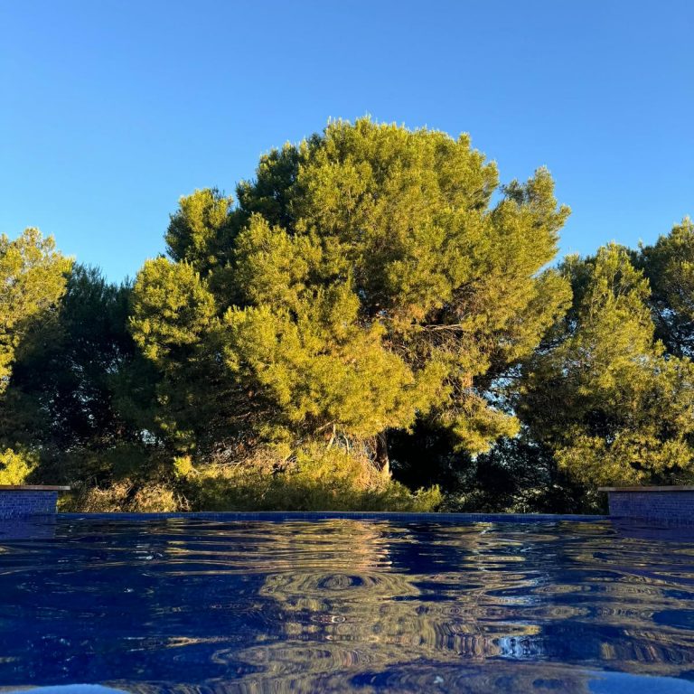 PHOTO-2025-12-09-23-28-07_3 PHOTO-2025-12-09-23-28-07_3